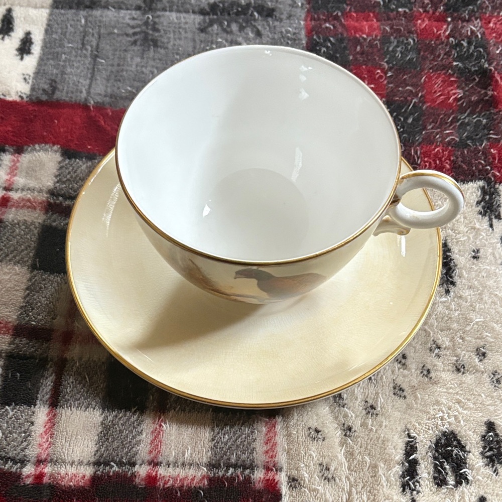 Royal Worcester cup and saucer set